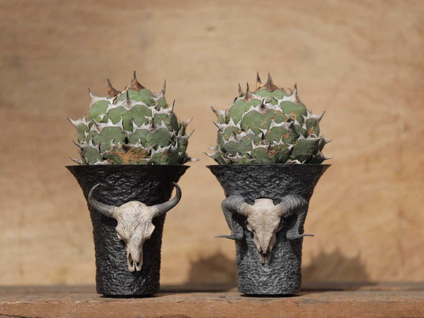 lobindon – LOBINDON