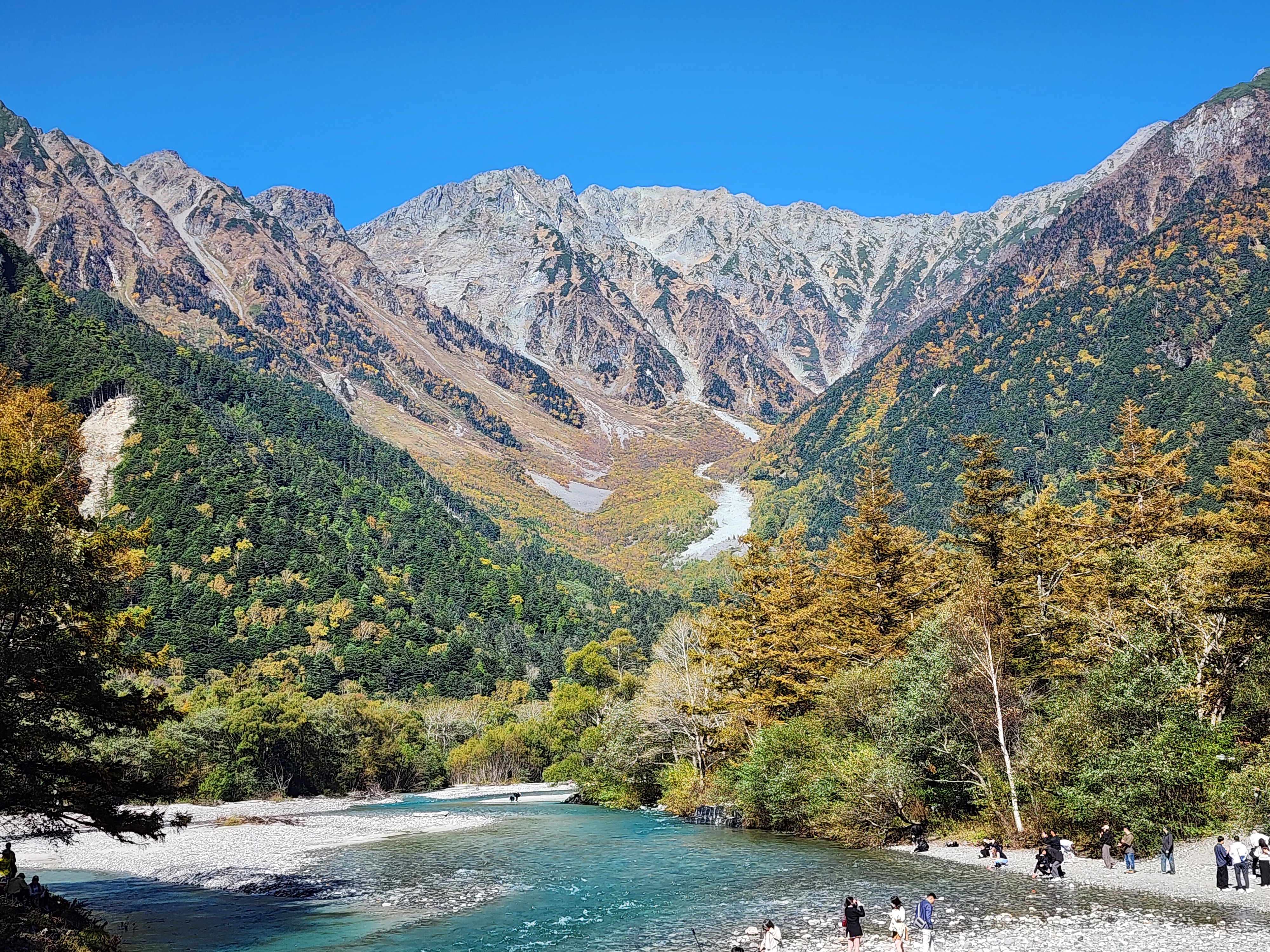 上高地紅葉 2025最新】河童橋周辺はまもなく見頃！色づき状況と