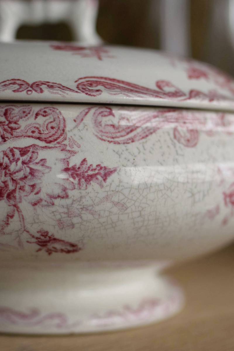 フランスアンティーク食器 レギュミエール.PAVOTS テーブルウェア