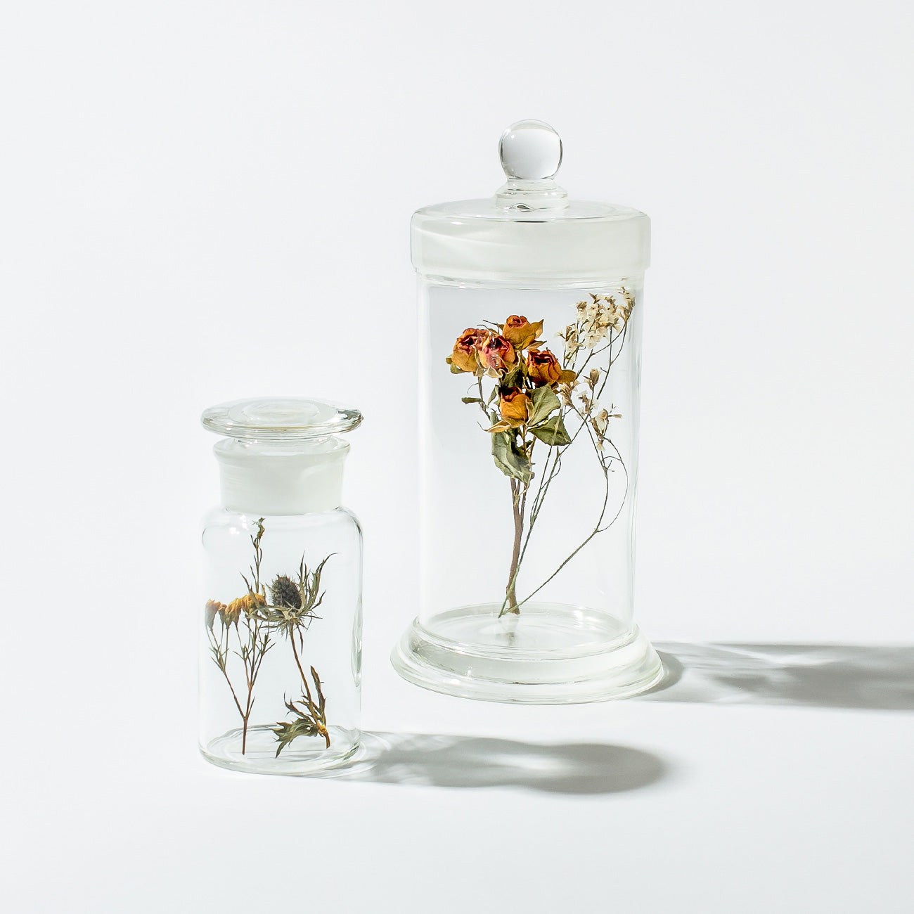 小泉硝子製作所(コイズミガラスセイサクショ) 標本瓶 φ90mm x H90 容器