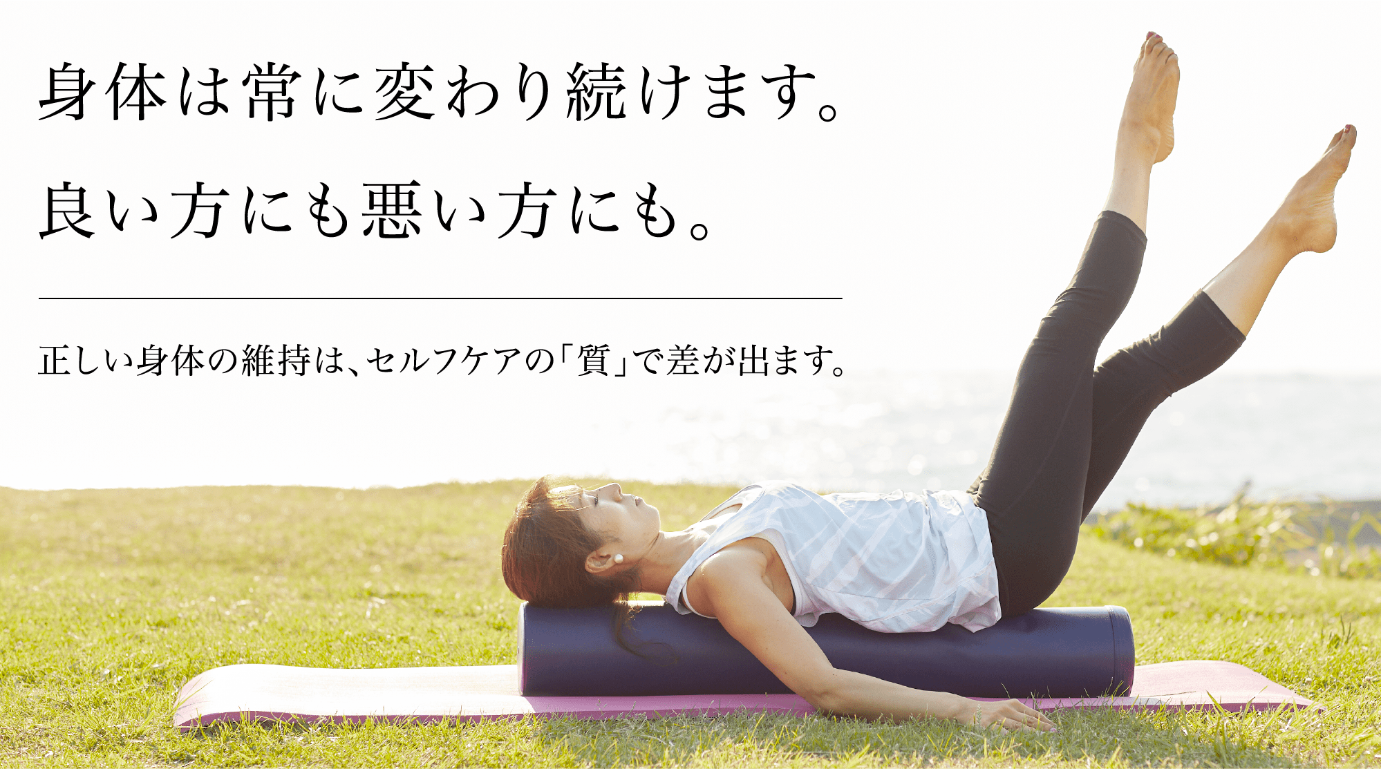 LPN SHOP / ストレッチポールEX(ネイビー)