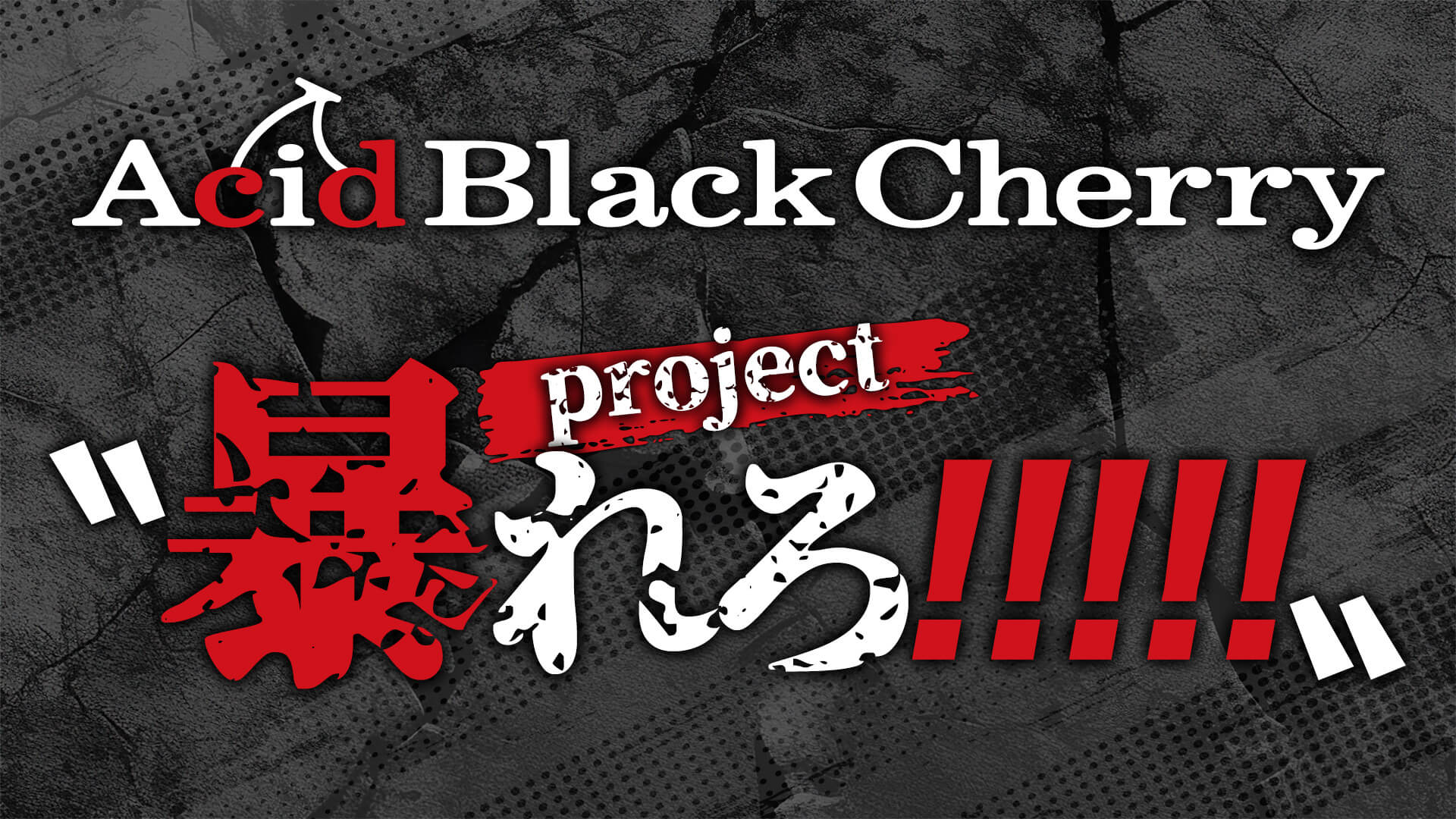 Acid Black Cherry project〝暴れろ!!!!!〟