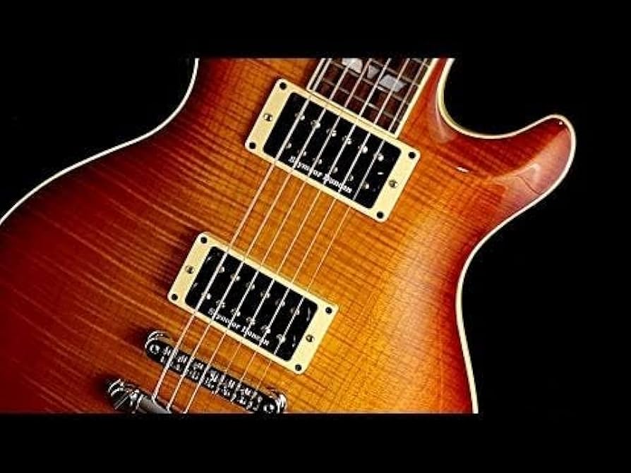 Amazon.com: Seymour Duncan Pearly Gates Humbucker Bridge Pickup