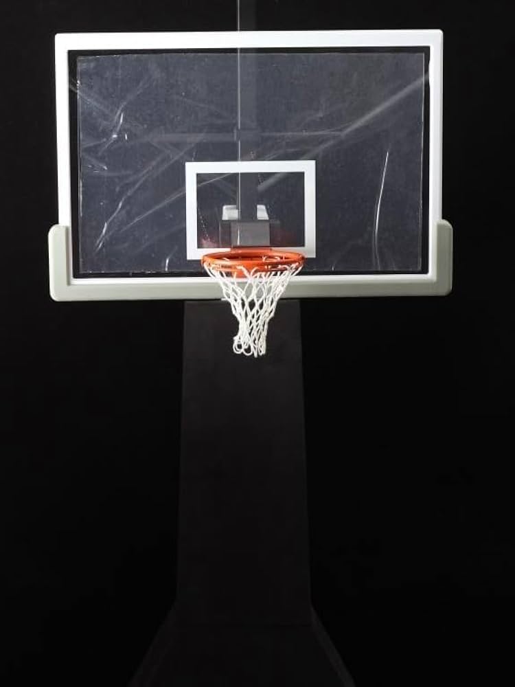 DZHSNWJ ENTERBAY HD-1002 Basketball Hoop 1/6 Action Figure New in