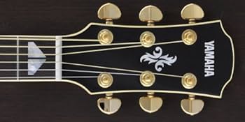 Amazon | ヤマハ エレアコギター APX1000 NT | エレアコギター | 楽器