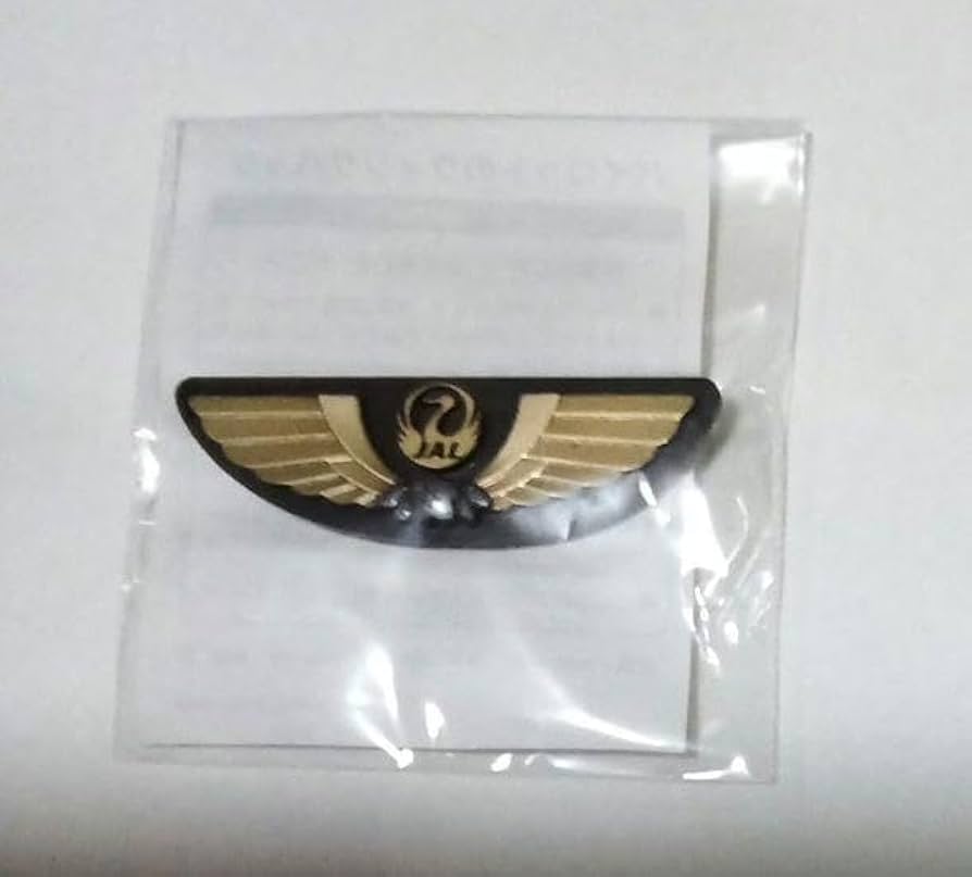 Amazon.co.jp: JAL 日本航空 パイロット ウィングバッジ : 文房具