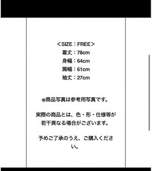 Amazon.co.jp: the GazettE Tシャツ フリーサイズ heterodoxy ガゼット