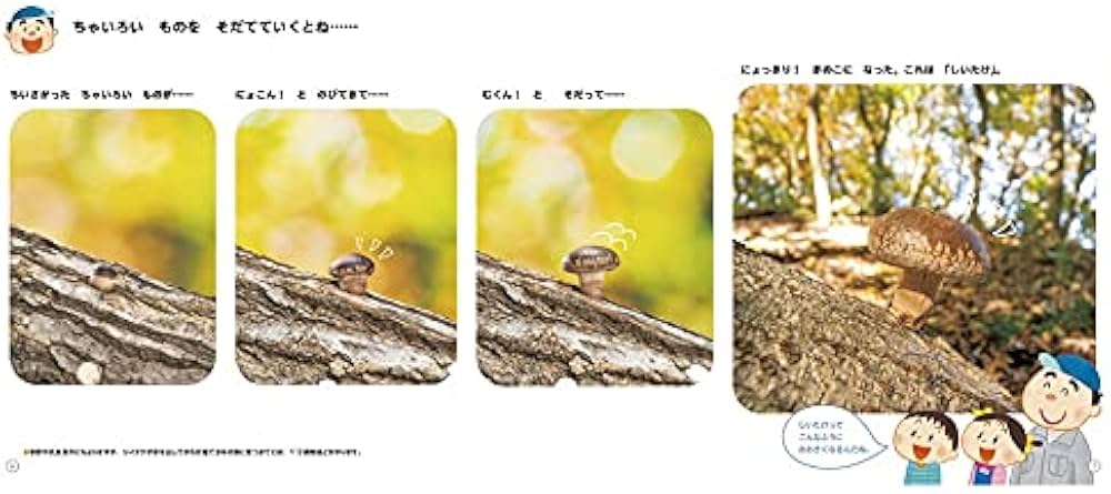 きのこのこのこふしぎのこ (しぜんにタッチ!) | 新井 文彦, 六田 晴洋