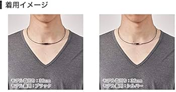Amazon | ファイテン(phiten) ネックレス RAKUWAネック ワイヤー