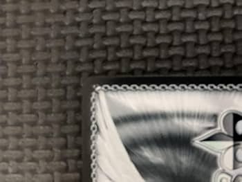 Amazon.co.jp: ヴァイスシュヴァルツ ホロライブ TD 大忙しっ 兎田ぺこ