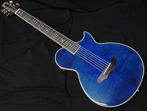 Aria アコースティックギター」の人気商品一覧 | 安い商品を通販サイト