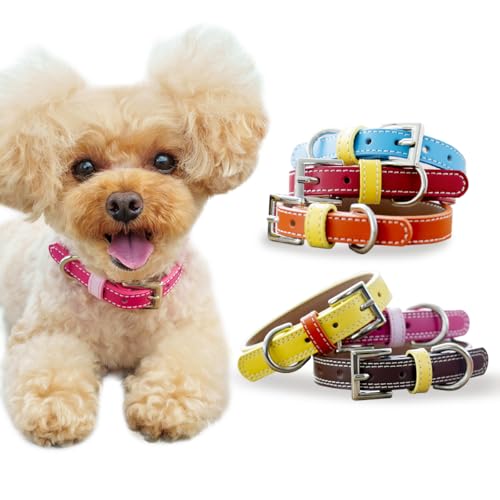 犬の首輪 革」の人気商品一覧 | 安い商品を通販サイトから探す - 価格.com