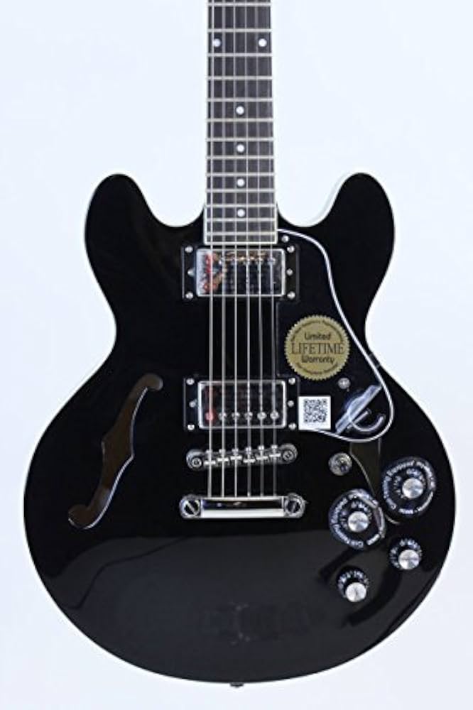 Amazon | Epiphone エピフォン セミアコギター ES-339 Pro Ebony
