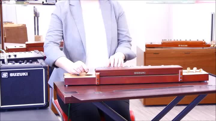 Amazon | SUZUKI スズキ 電気大正琴 桂 TAS-11 | 大正琴 | 楽器・音響機器