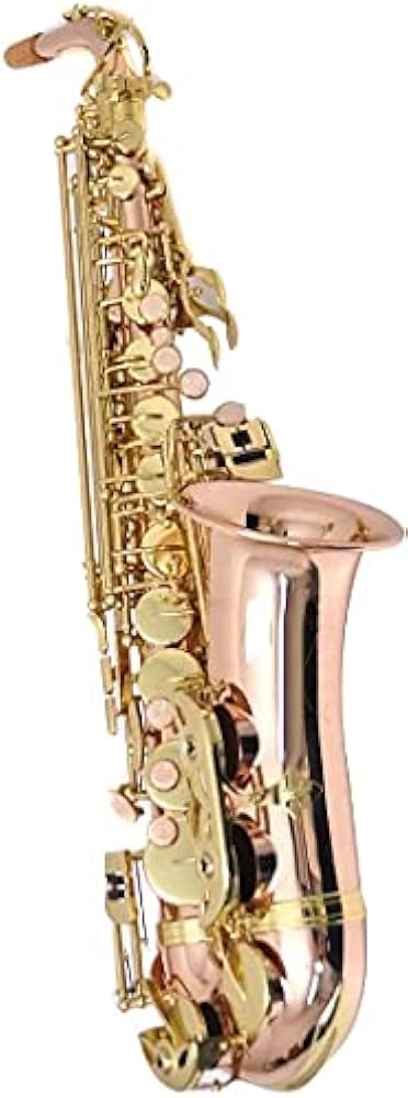 Amazon | PLAYTECH (プレイテック) アルトサックス ローズブラス