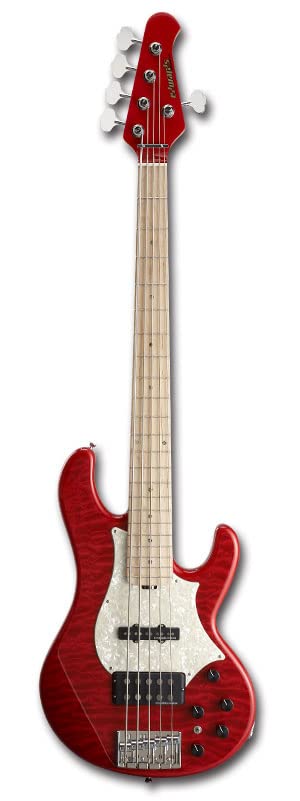 Amazon.co.jp: EDWARDS E-T-170BD STFR 5弦エレキベース tetsuyaモデル