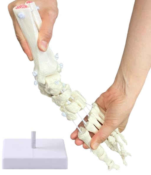 Amazon.co.jp: 【弊社独自の特殊素材でビヨーンと伸びる！！】【医療用