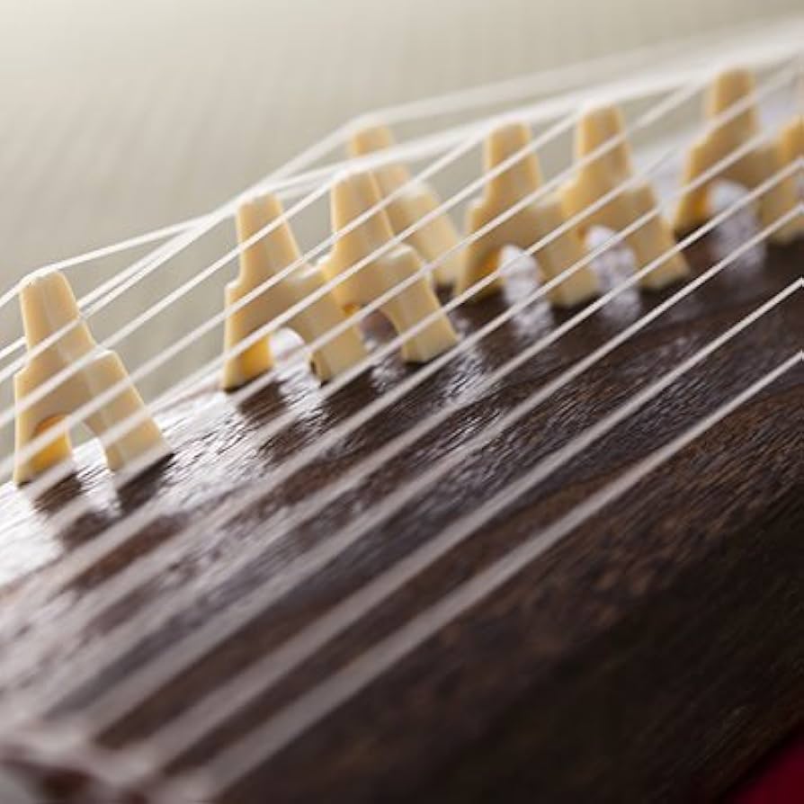 Amazon.co.jp: 琴 こと 観賞用ミニ琴“琴太朗君” 日本国内に現存する