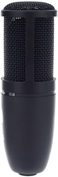 Amazon.co.jp: AKG (アーカーゲー) P120 Project Studio Line