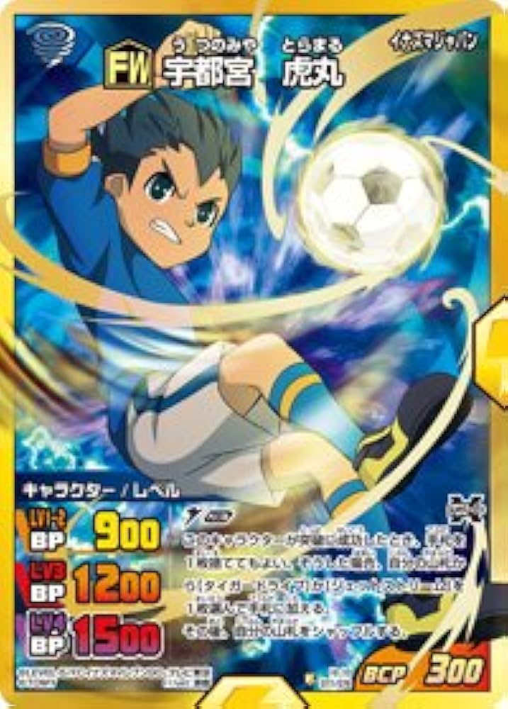 Amazon.co.jp: 【イナズマイレブンGO TCG】宇都宮虎丸(XR)(IG-13-077