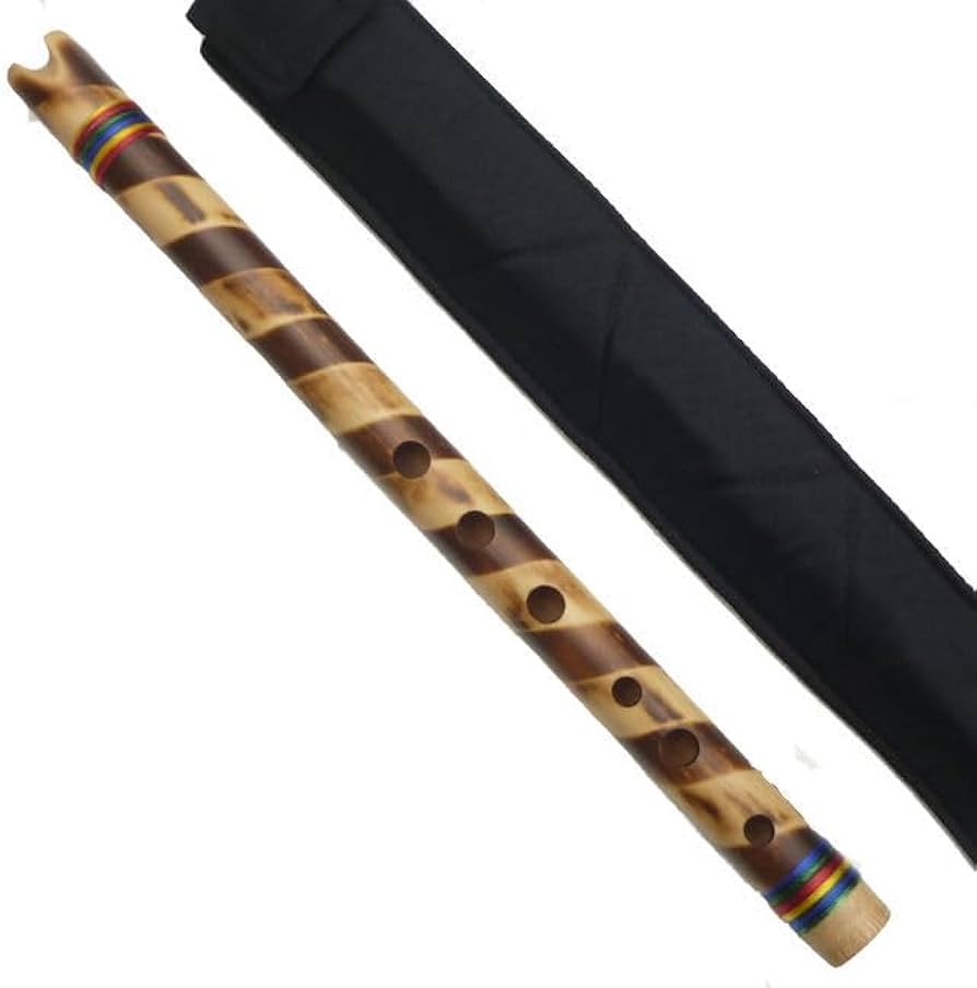 Amazon.co.jp: ケーナ ケース付き 入門用 X03 アンデス楽器