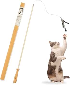 41+XuwqCWhL._AC_UF350,