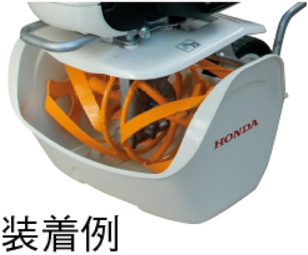 41+ciBN4TFL._AC_UF1000,