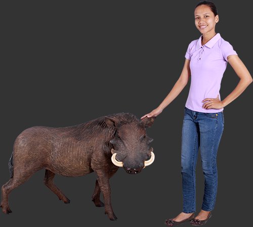 Amazon.co.jp: アニマルビッグフィギュアシリーズ【イノシシ（アフリカ