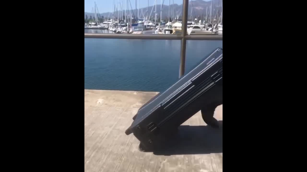 Amazon.co.jp: Gator Cases ゲーター ハードケース LINE6 Helix Floor