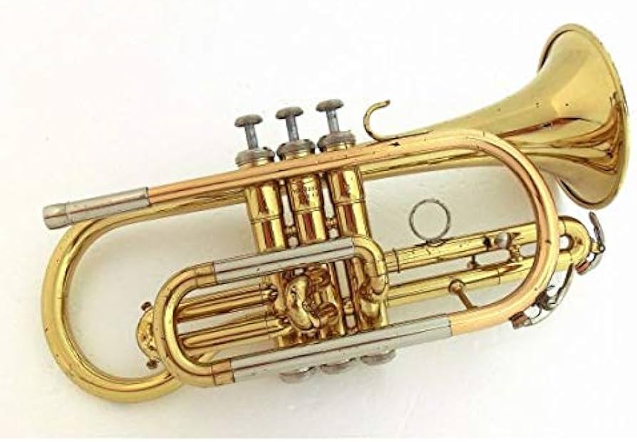 Amazon | YAMAHA ヤマハ/コルネット YCR-2330 | ベースパーツ | 楽器