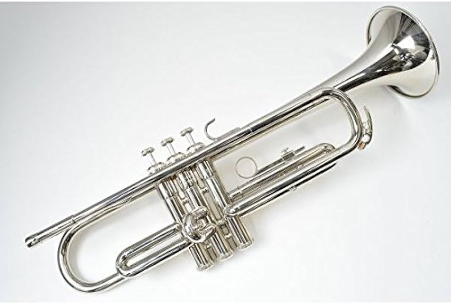 Amazon.co.jp: YAMAHA ヤマハ / YTR-1310 : 楽器・音響機器