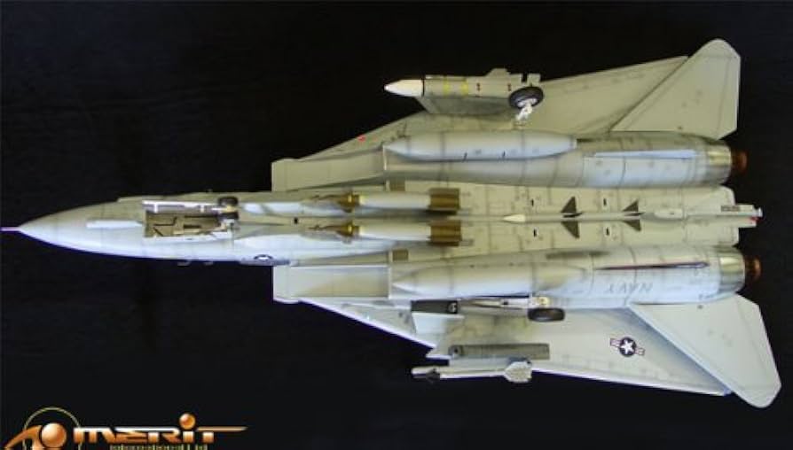 Amazon | 1/18 F-14Aトムキャット VF-154 ブラックナイツ (塗装済み