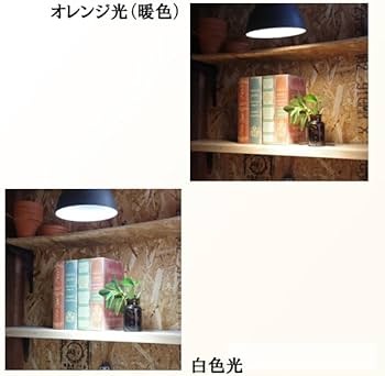 Amazon.co.jp: PLANTS NEXLIGHT ホワイト 電球オレンジ光 本体 WHITE