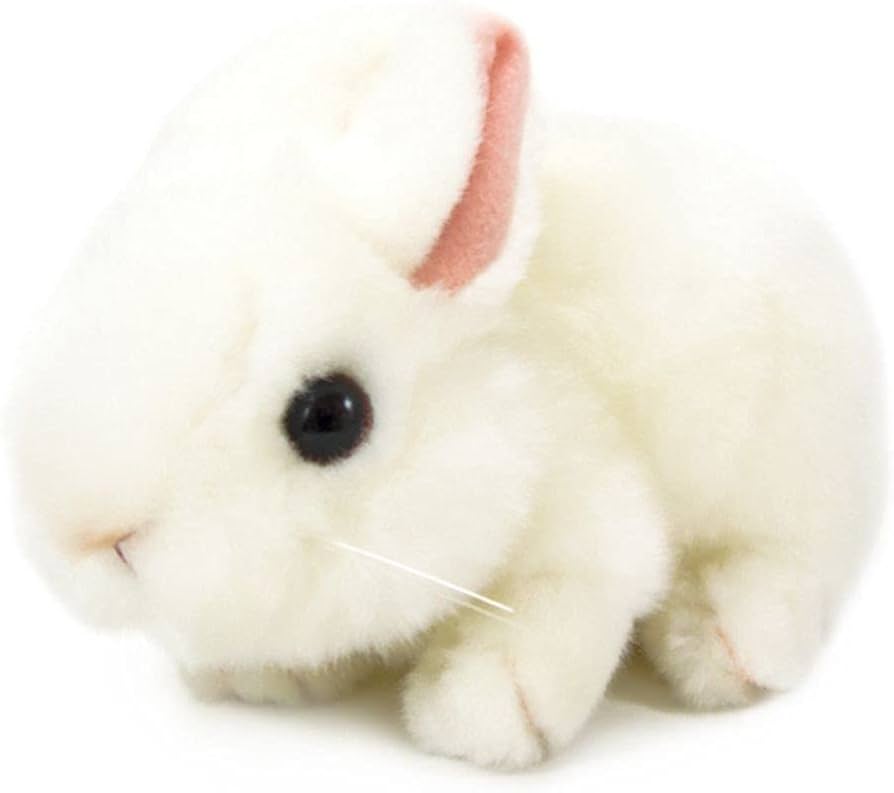 Amazon.co.jp: 吉徳 りくのなかまたち ぬいぐるみ ウサギ ホワイト