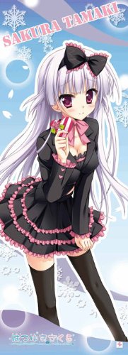 Amazon.co.jp: はつゆきさくら ビッグタペストリー 玉樹桜 : おもちゃ