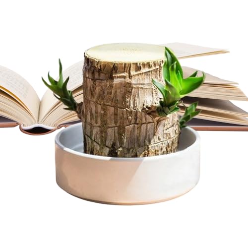 サイド テーブル 観葉植物」の人気商品一覧 | 安い商品を通販サイト