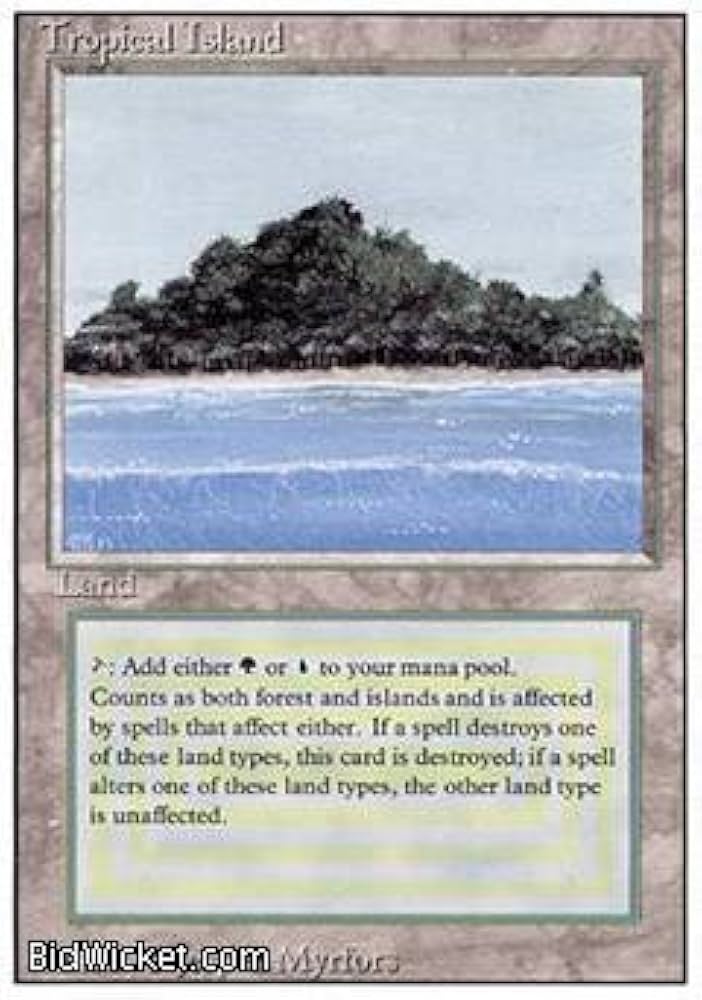 Amazon.com: Isla Tropical (Magic The Gathering - Revisado