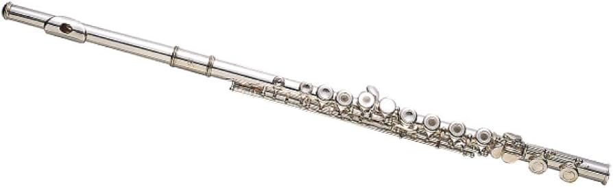 Amazon | Kaerntner ケルントナー フルート オープンホール KFL-29