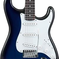 Amazon | SELDER セルダー エレキギター ストラトキャスタータイプ