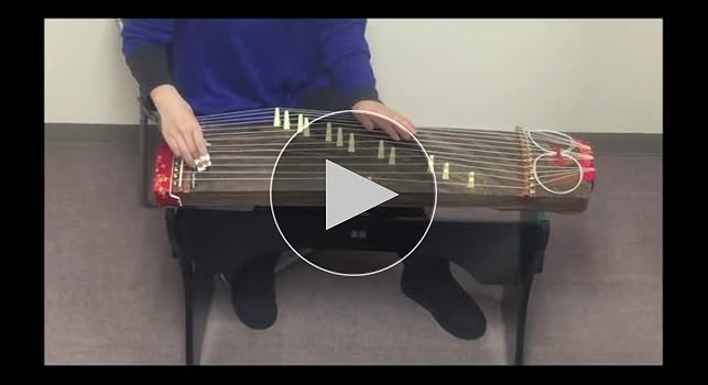 Amazon.co.jp: ゼンオン 文化箏 羽衣 ソフトケースセット ZK-01 短箏