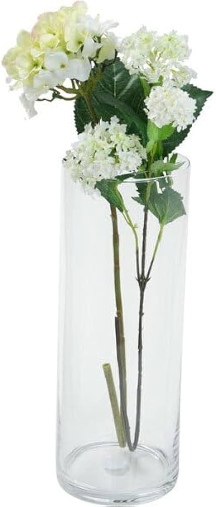 Amazon.co.jp: ニトリ(NITORI) フラワーベース シリンダー 40cm