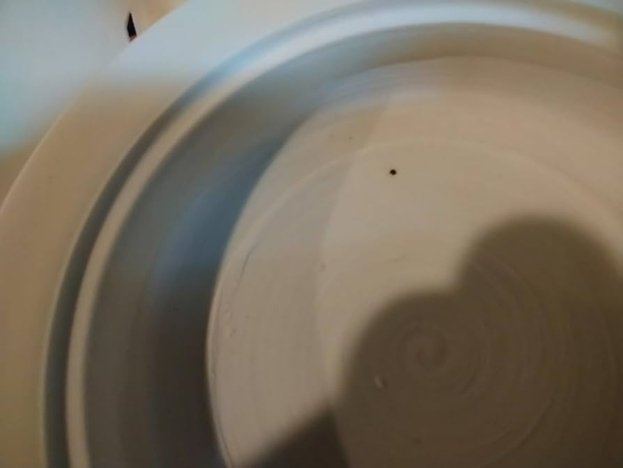 Amazon｜高麗陶房 宮岡 英夫 白磁 千鳥 香炉 茶道具 共箱＆共布＆陶歴