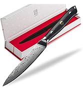 Amazon | issiki 牛刀 包丁 ダマスカス VG10 67層 200mm ステンレス