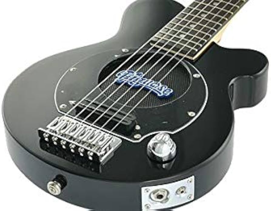 Amazon | PIGNOSE (ピグノーズ) アンプ内蔵ミニギター PGG-200 BLACK