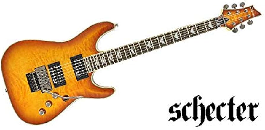 Amazon | SCHECTER (シェクター) エレキギター OMEN EXTREME-6 FR VSB