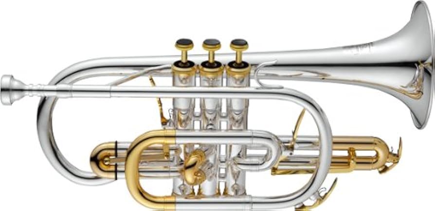 Amazon | 【初心者にも嬉しいケアセット・入門セット付き】MARCATO