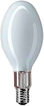 41weNm-1gqL._AC_UF350,