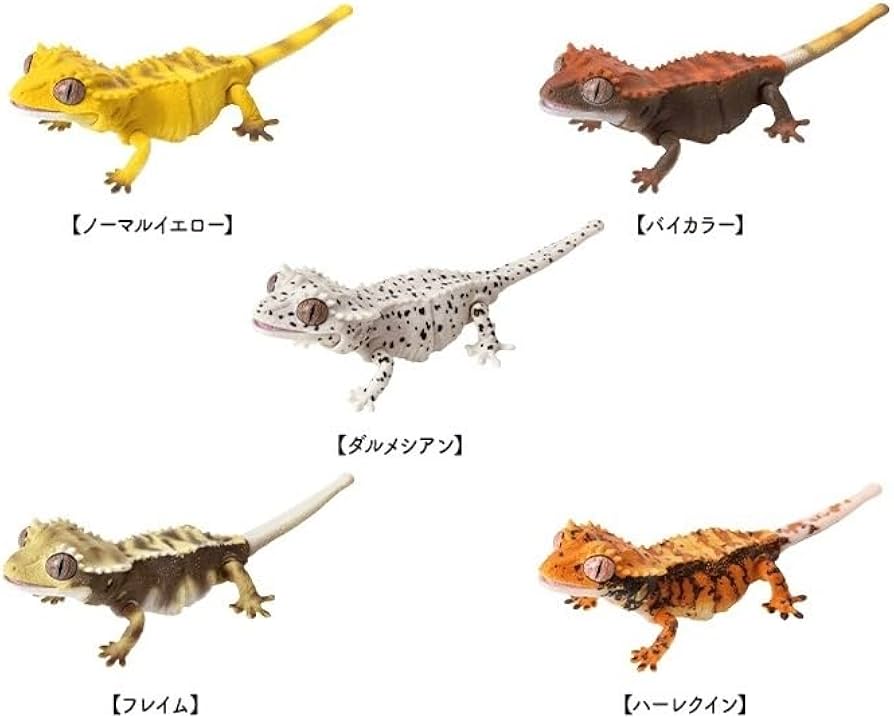 Amazon | いきもの大図鑑レプティ クレステッドゲッコー 全5種 レア