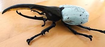 Amazon | ヘラクレスリッキーブルー ムシキング 大きい 昆虫