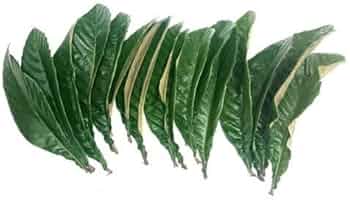 41xu9jqEXUL._AC_UF350,